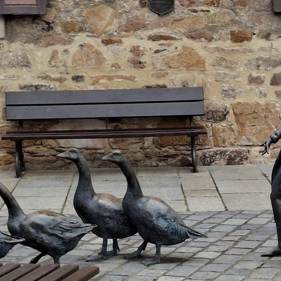 Gänseliesel Melsungen
