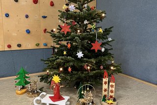 Unser Weihnachtsbaum