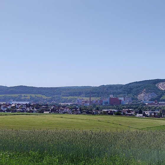 Heringen