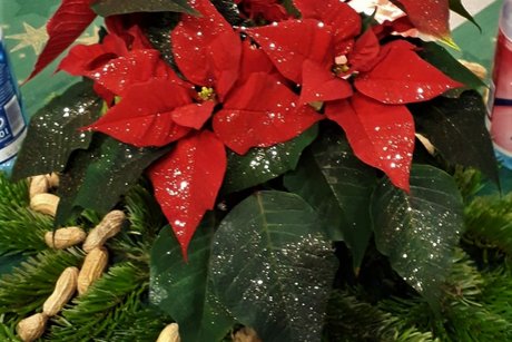 Weihnachtsfeier 2019