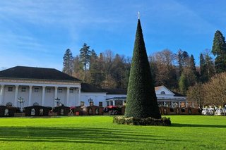 Wiese mit großer Tanne im Vordergrund vor dem Kurhaus in Baden Baden