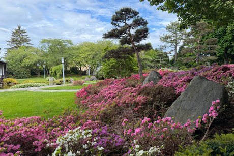 Japanischer Garten in Bad Langensalza