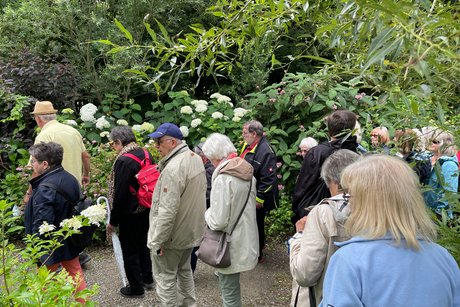 Führung durch den Hortensienpark Erbsmühle