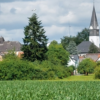 Blick auf die Alte Schule und die Kirche aus den Lahnwiesen