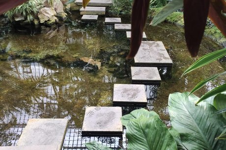 grosse Palmenblätter an einen kleinen angelegten Teich mit einem übergang aus steinfliesen