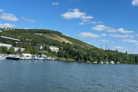 Blick zur Seite w&auml;hrend der Schifffahrt