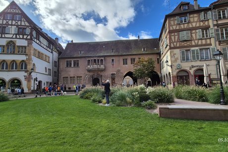 Colmar