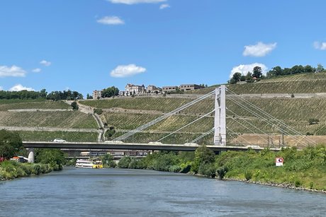 Main mit Weinbergen und historischen Gebäuden