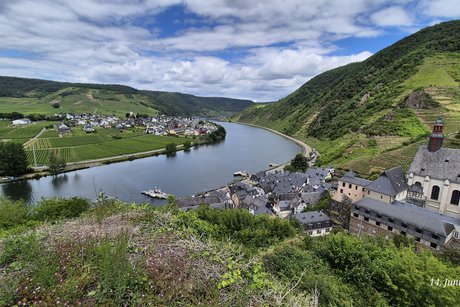Blick auf die Mosel