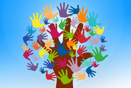 Hände an einem Baum Pixabay