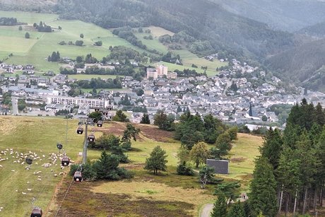 Fahrt zur Alphornmesse in Willingen