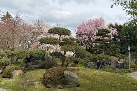 Japanischer Garten