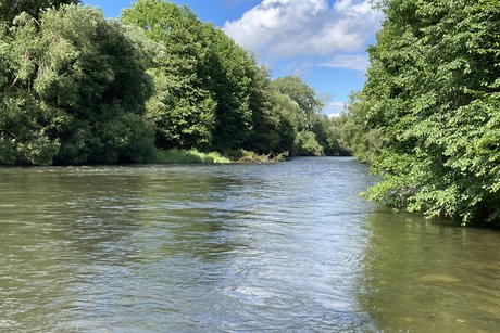 Eindrücke von Fritzlar