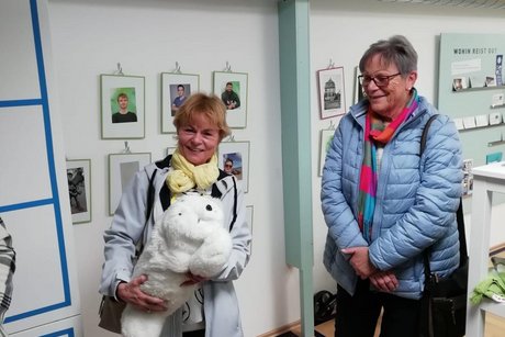 Intelligente Robbe zum Streicheln