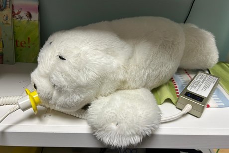 Plüschtier Robbe, weiß, mit Funktionen_speziell für beeinträchtigte Menschen_z.B.Demenz_zur Beruhigung_gibt bei Berührung Töne von sich_Augen zwinkern_Pfoten bewegen sich