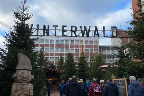 Eingang zum Winterwald