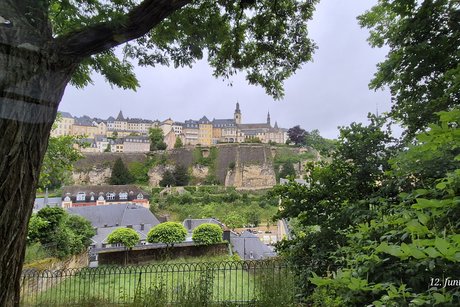 Ein Blick auf die Altstadt