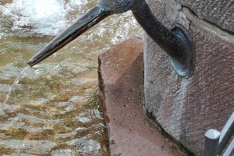 Ein Wasserspeier aus Metall in Form eines Storchenkopfes