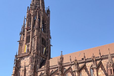 Freiburger M&uuml;nster