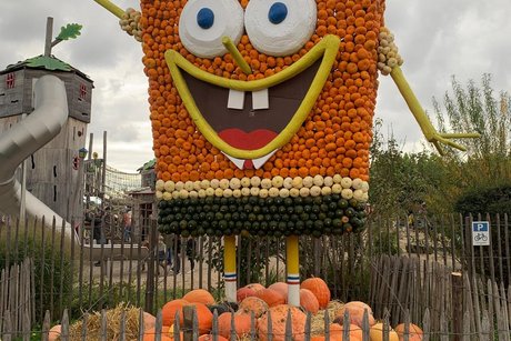 Herbstfahrt Adler 2025 2 Besuch in der Kürbisausstellung auf dem Hof Lipp in Weiterstadt