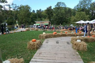 Ein gewundener Holzweg, mit Strohballen und Kürbissen gesäumt, führt zu Sitzgelegenheiten und Imbissständen