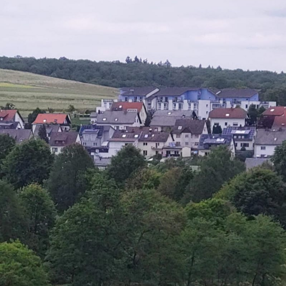 Vordergrund Bäume, dahinter Häuser
