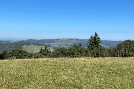 Tagesfahrt ins Blaue