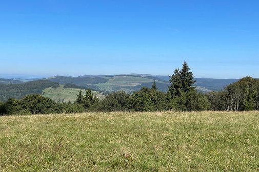 Tagesfahrt ins Blaue Tagesfahrt ins Blaue
