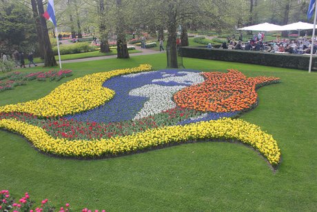 Tulpen im Keukenhof.