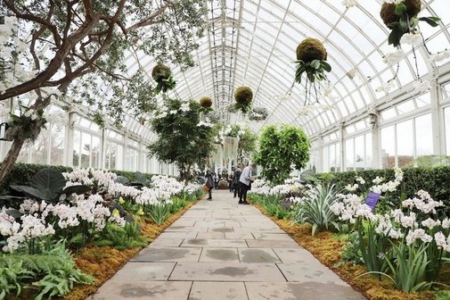 Blumenhalle
