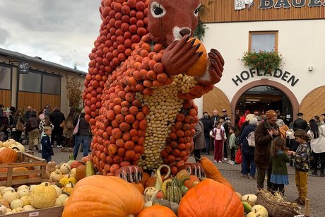 Herbstfahrt Adler 2025 4 Besuch in der Kürbisausstellung auf dem Hof Lipp in Weiterstadt