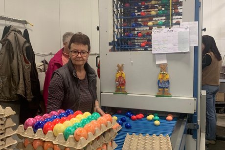 F&uuml;hrung in der Gefl&uuml;gelfarm Repp in Gro&szlig;heubach