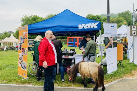 Pony am VdK-Stand
