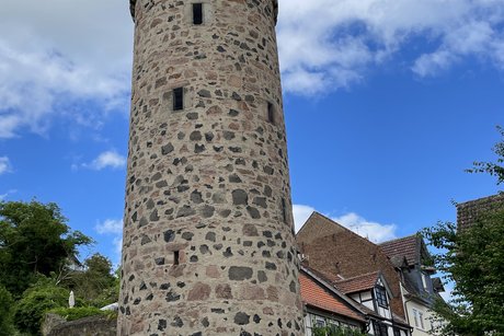 Eindrücke von Fritzlar