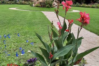 Blume mit Brunnen im Hintergrund