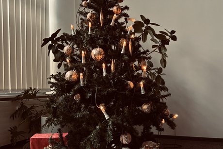 Weihnachtsbaum