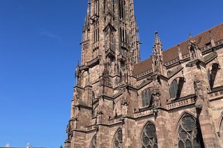 Freiburger Münster