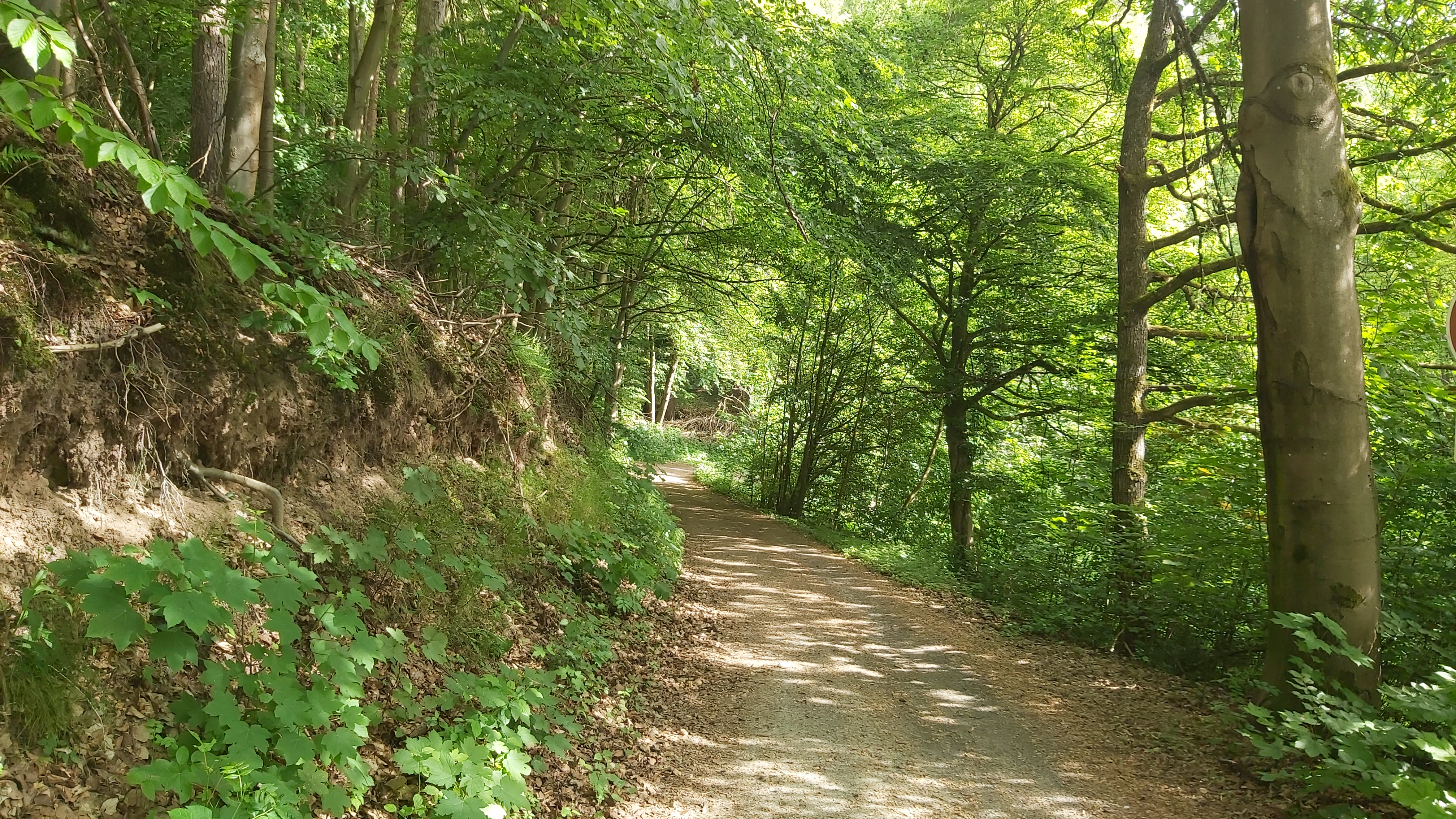 Die Wanderung findet nicht bei Regen statt.