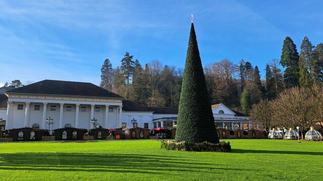 Wiese mit großer Tanne im Vordergrund vor dem Kurhaus in Baden Baden