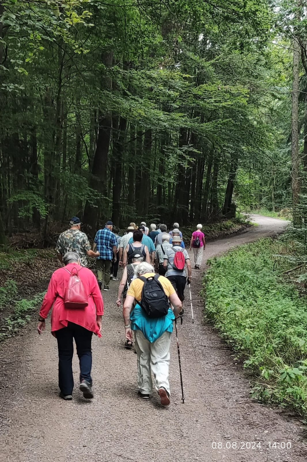 Wanderung durch den Wald