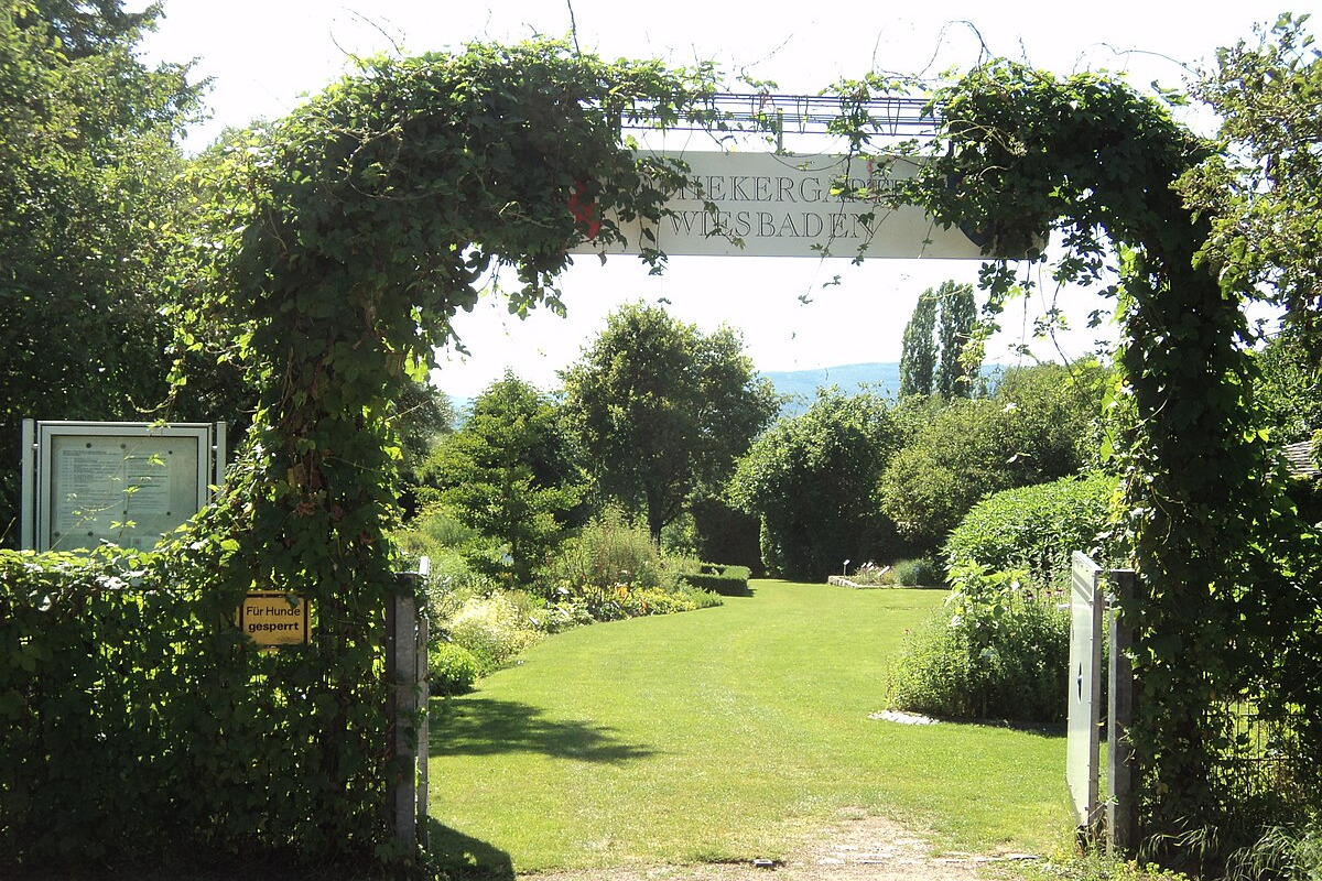 Apothekergarten Apothekergarten