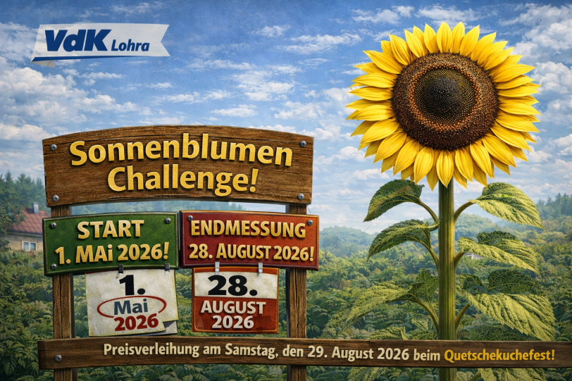 Mitmach-Sonnenblumen-Challenge