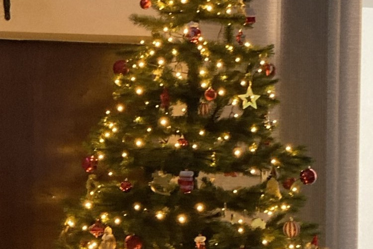 Weihnachtsbaum Der schön geschmückte Weihnachtsbaum im Emil-Renk-Haus
