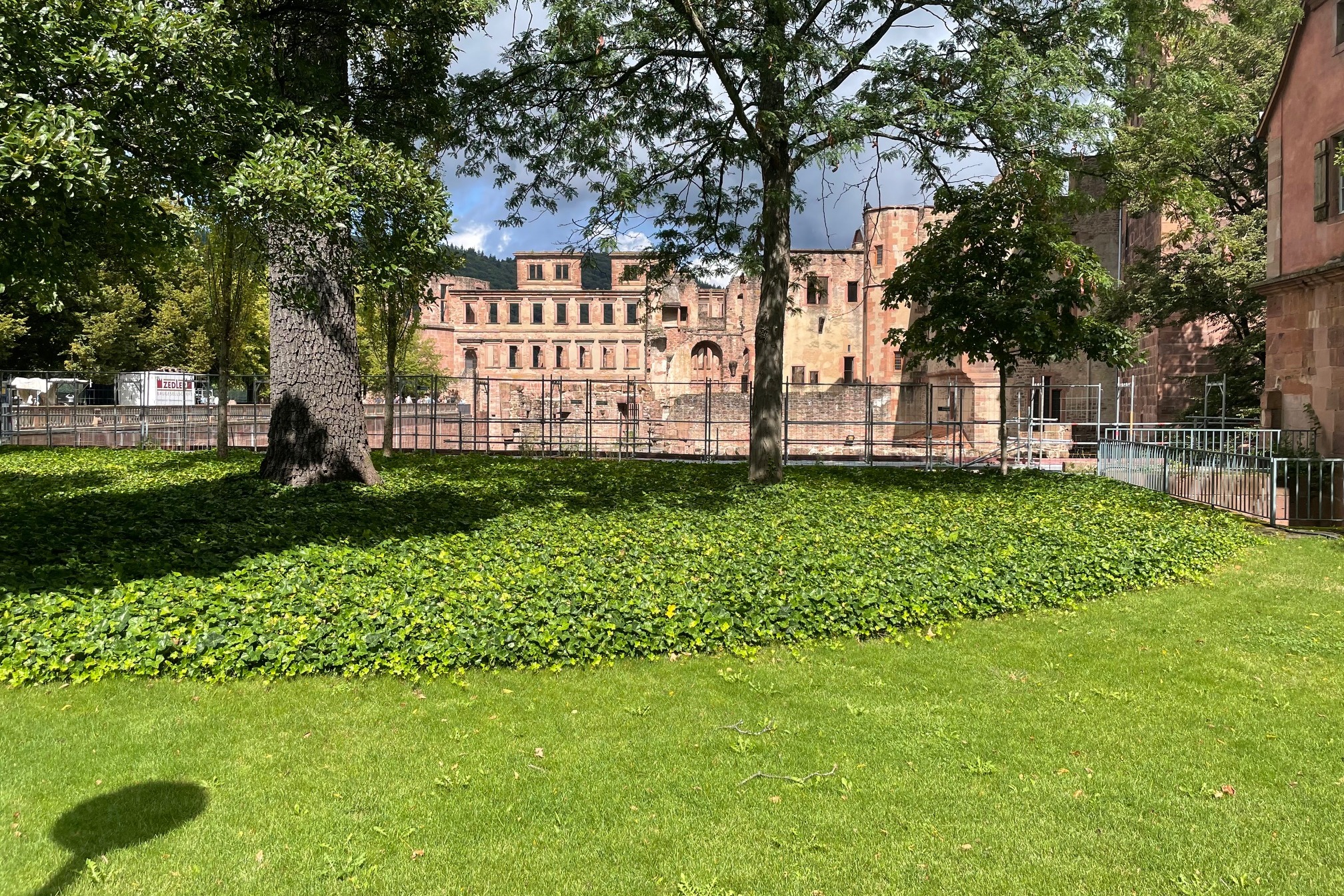 Bustour nach Heidelburg Bustour