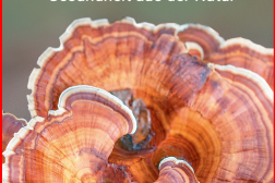 Pilze heilen mit Natur Pilze heilen mit Natur