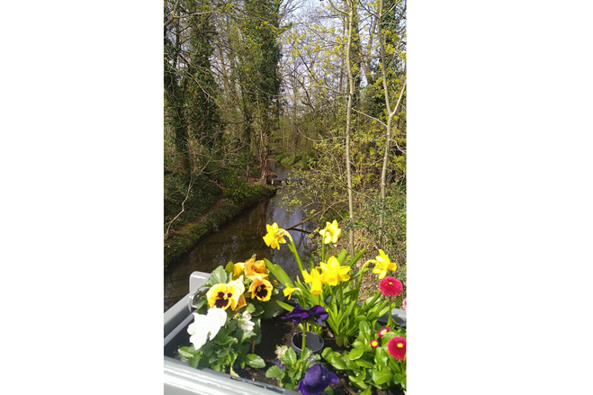 Blick auf den Liederbach unterschiedliche Blumen in einem kübel an einer brücke befestigt, die über den liederbach geht